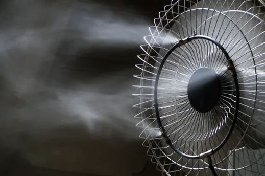 Fan Fan